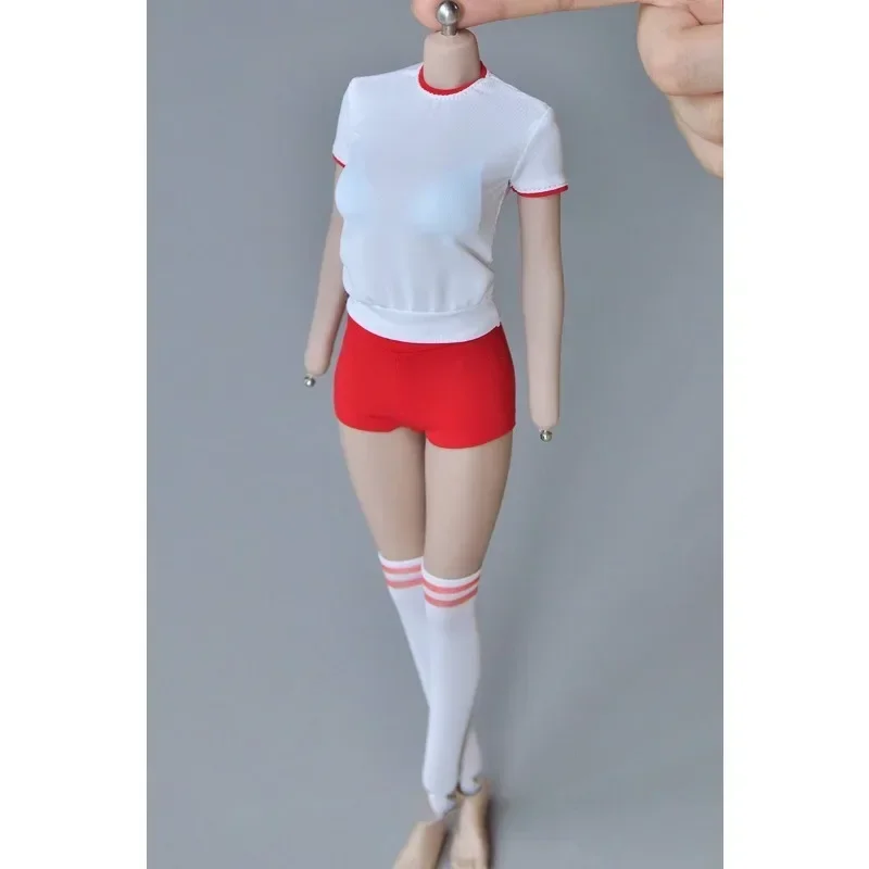 1/6 Scale Female Soldier Japan - Japanese Lifestyle Goods のレビューと価格
