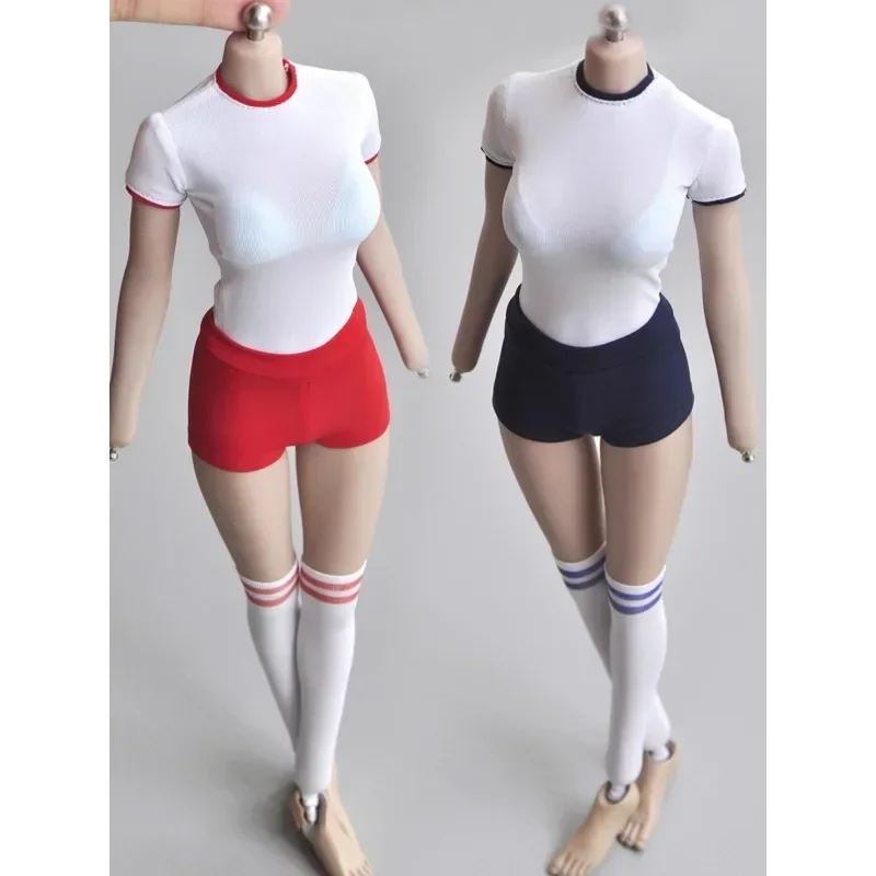 1/6 Scale Female Soldier Japan - Japanese Lifestyle Goods のレビューと価格