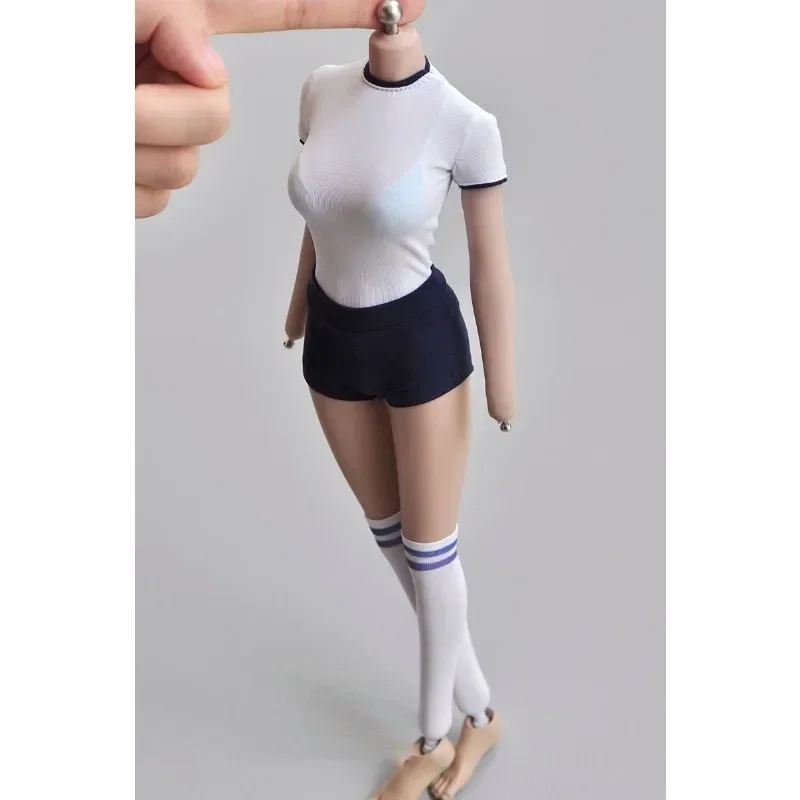 1/6 Scale Female Soldier Japan - Japanese Lifestyle Goods のレビューと価格